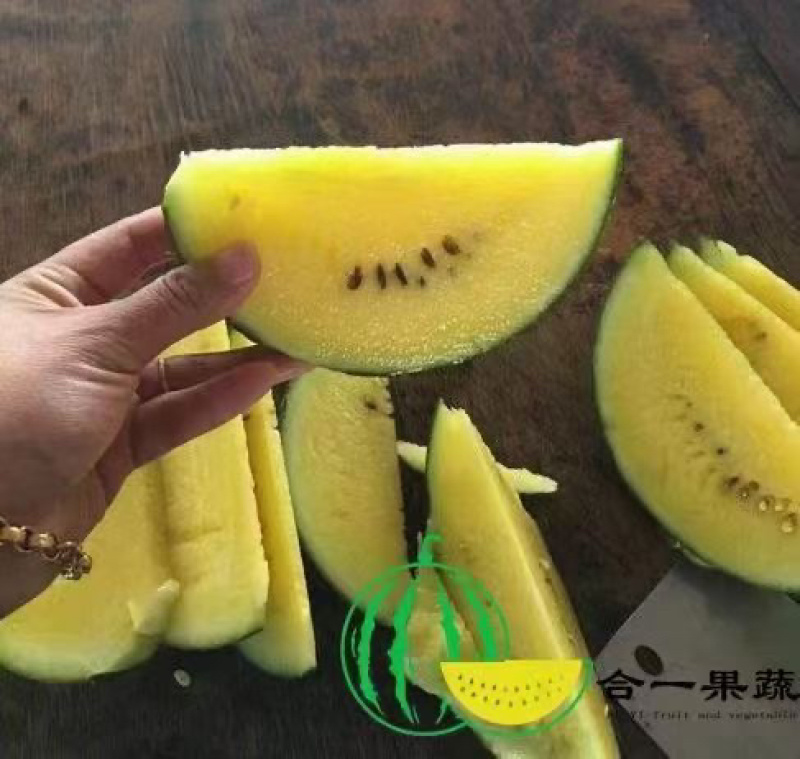 精品小凤西瓜