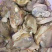 【牛商店长推荐】河蚌肉大量供应厂家直发视频看货