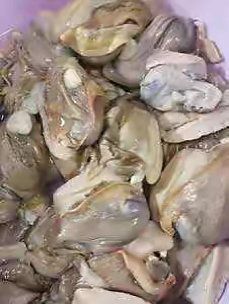 【牛商店长推荐】河蚌肉大量供应厂家直发视频看货