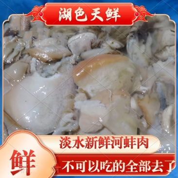 【牛商店长推荐】河蚌肉大量供应厂家直发视频看货