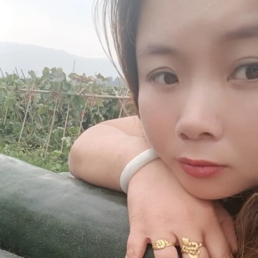 黑皮吊冬瓜20斤以上吊冬瓜！可以实地选货！提供回程车