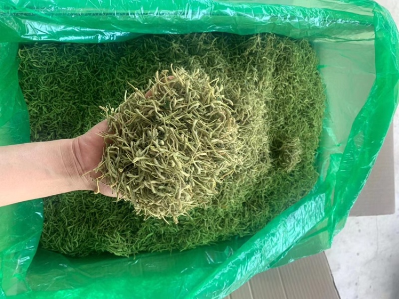 金银花金银花茶山东金银花茶2025年新金银花烘干