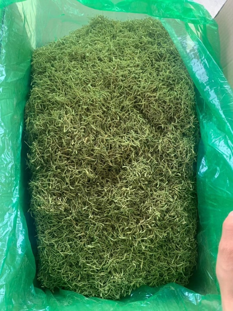 金银花金银花茶山东金银花茶2025年新金银花烘干