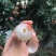 广东高州平山糯米糍荔枝．皮薄肉厚·全是小核的·
