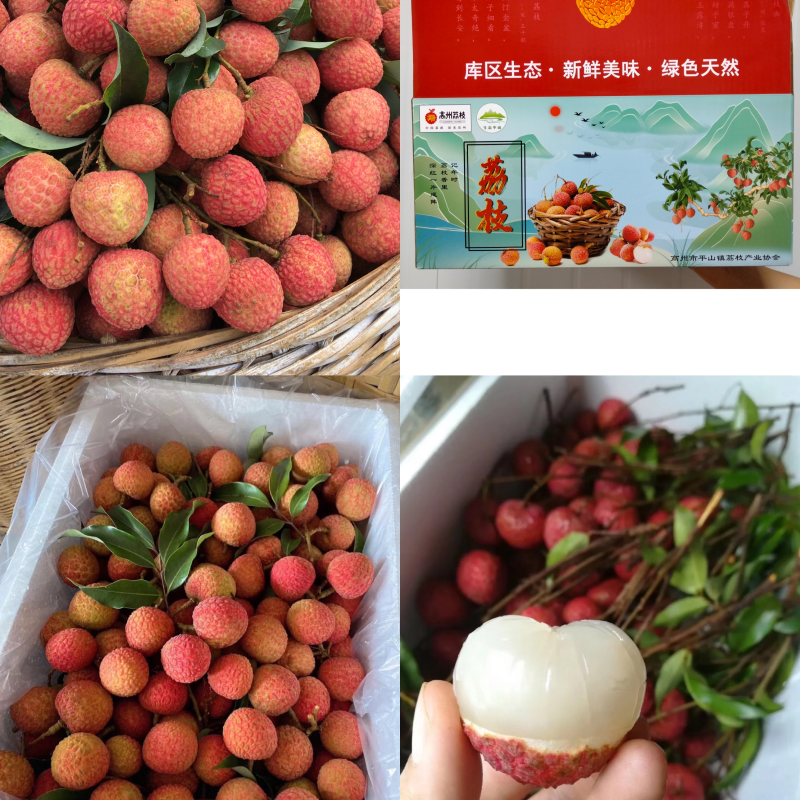 广东高州平山糯米糍荔枝．皮薄肉厚·全是小核的·