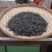 天然绿茶