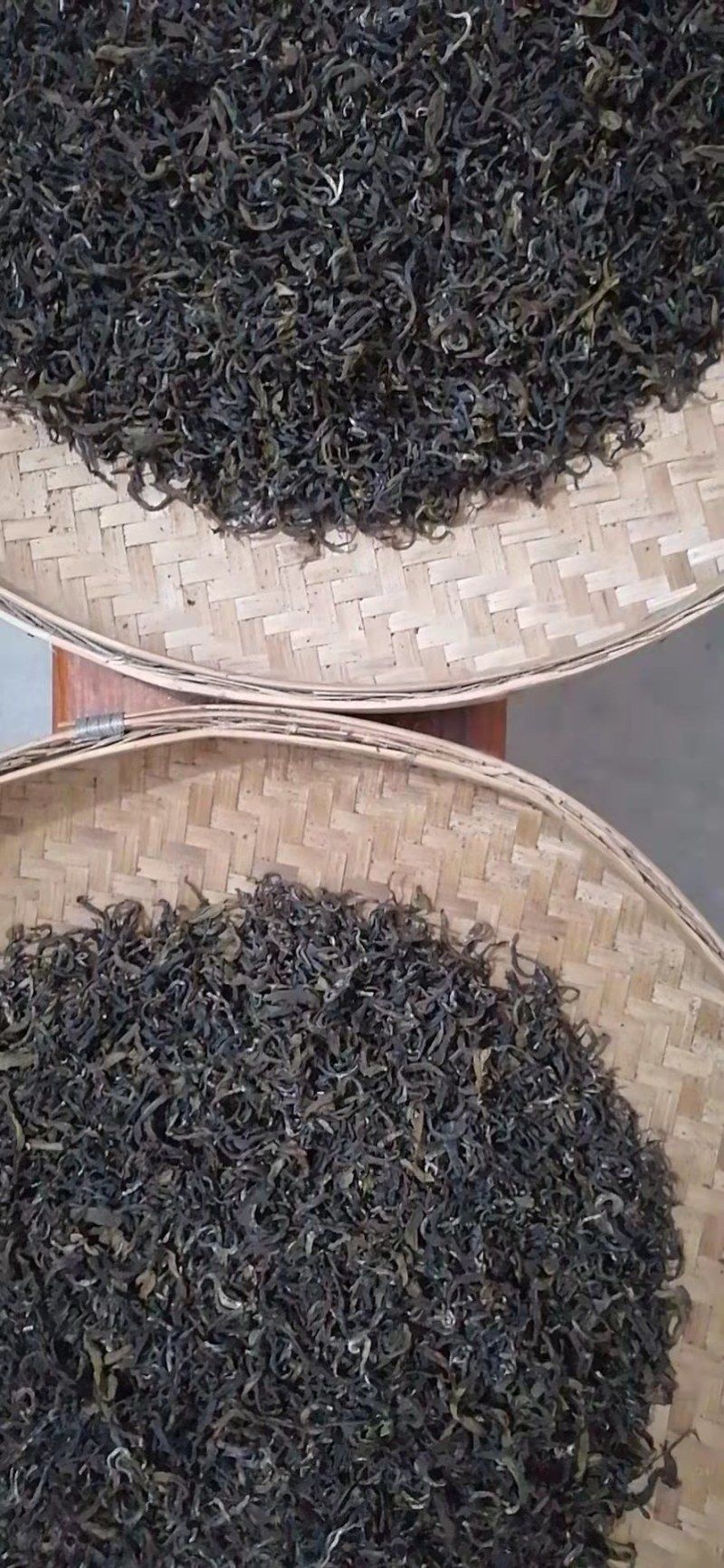 天然绿茶