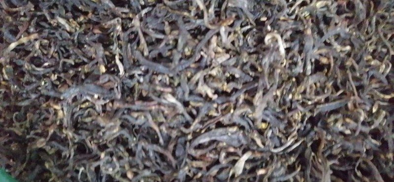 天然绿茶