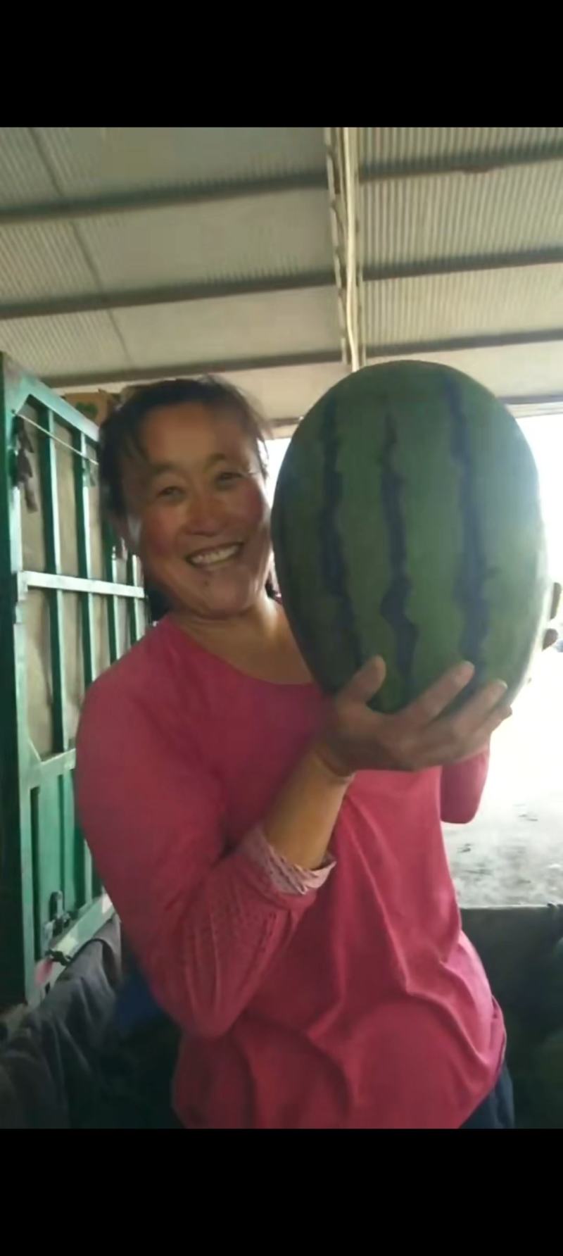 甜王西瓜