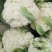 有机花，散装走车价0.4元，青梗小米花，三斤左右盘