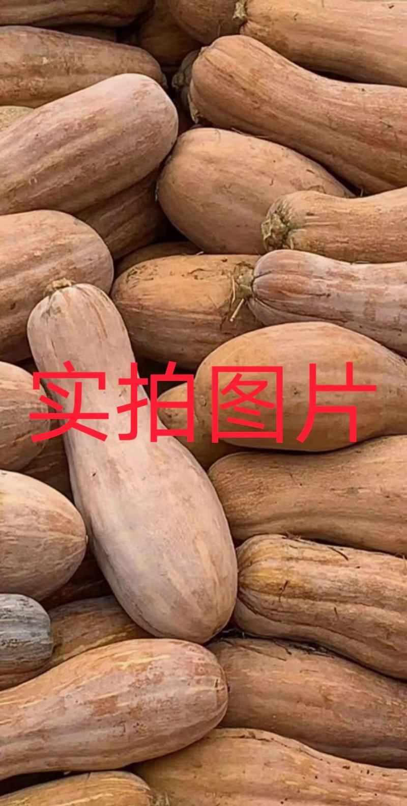 【热销】精品南瓜热销中，产地直发，质量保证，欢迎来电咨询！