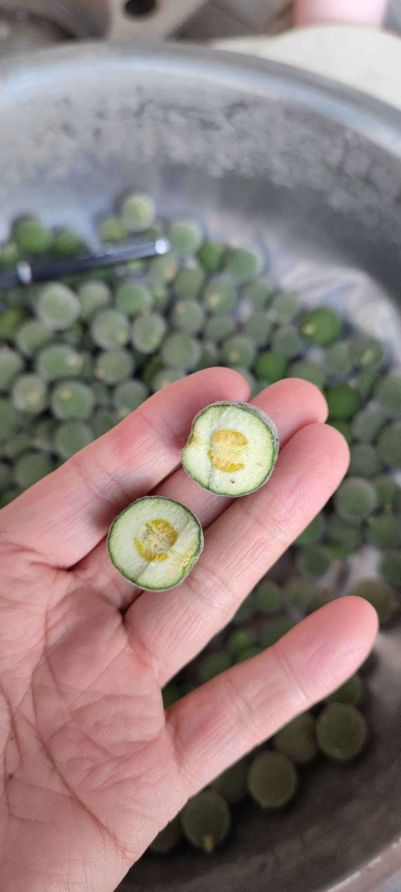 枳实假一赔十野生机切片河南汝州夏店