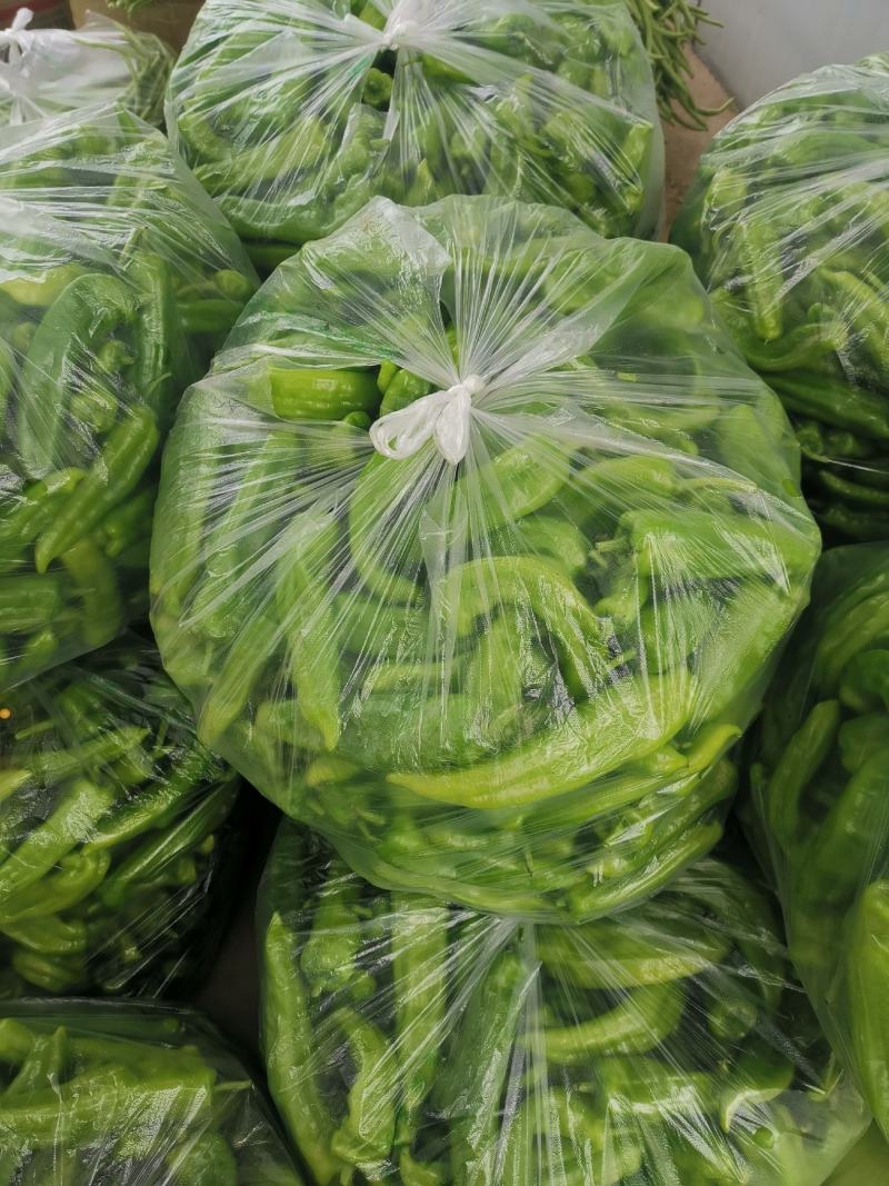 河南泡椒上市！价格实惠，需要的联系！