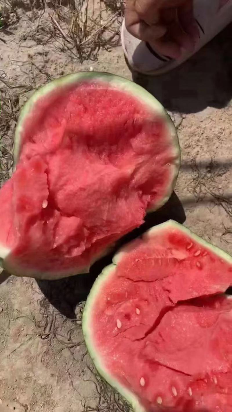 陕西甜王西瓜
