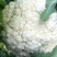 【推荐】花菜有机花菜松花菜湖北一手货源产地直供欢迎来电