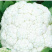 【推荐】花菜有机花菜松花菜湖北一手货源产地直供欢迎来电