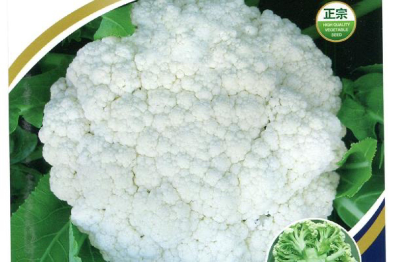 【推荐】花菜有机花菜松花菜湖北一手货源产地直供欢迎来电