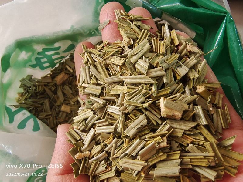 铁树叶中药材干货去头去尾干净量大优惠