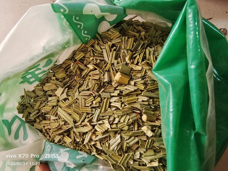 铁树叶中药材干货去头去尾干净量大优惠