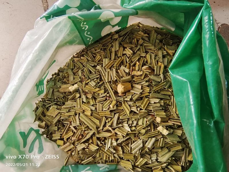 铁树叶中药材干货去头去尾干净量大优惠