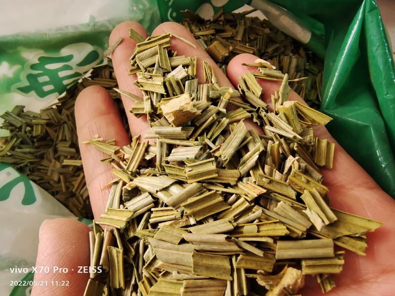 铁树叶中药材干货去头去尾干净量大优惠