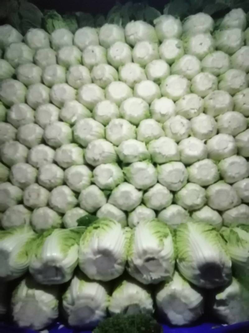 精品黄心菜白菜，玲珑黄，
