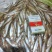 各种规格扒肚速冻白条鱼欢迎你订购：质量保证
