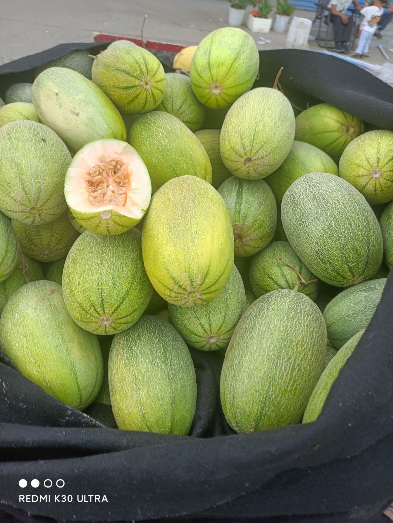 玉菇