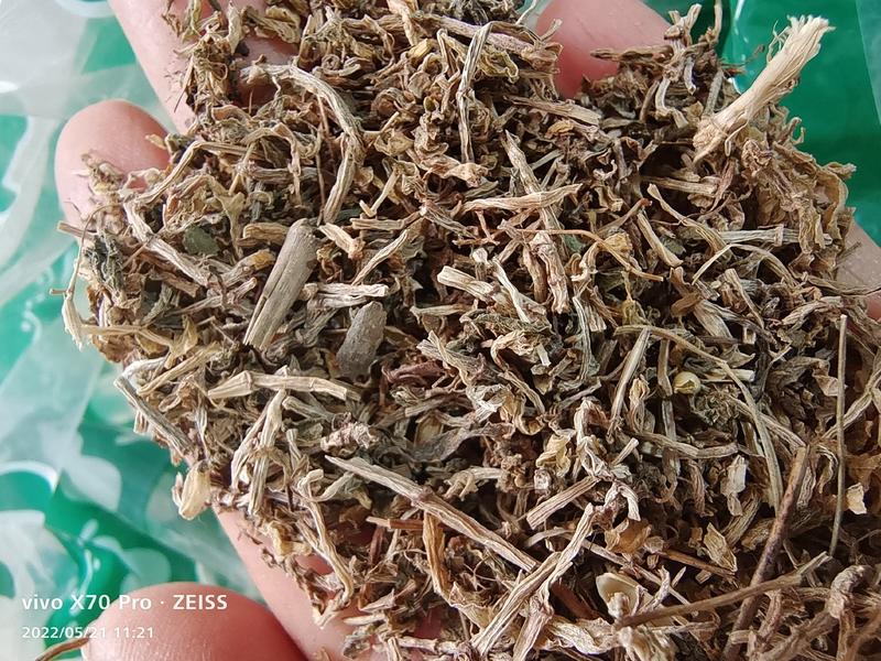 垂盆草干货常年经营各种冷背中药材量大优惠