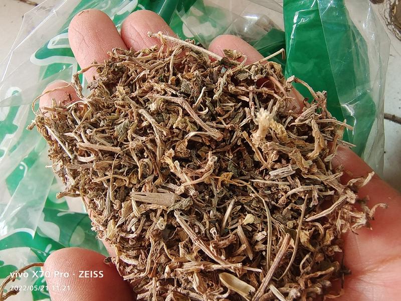 垂盆草干货常年经营各种冷背中药材量大优惠