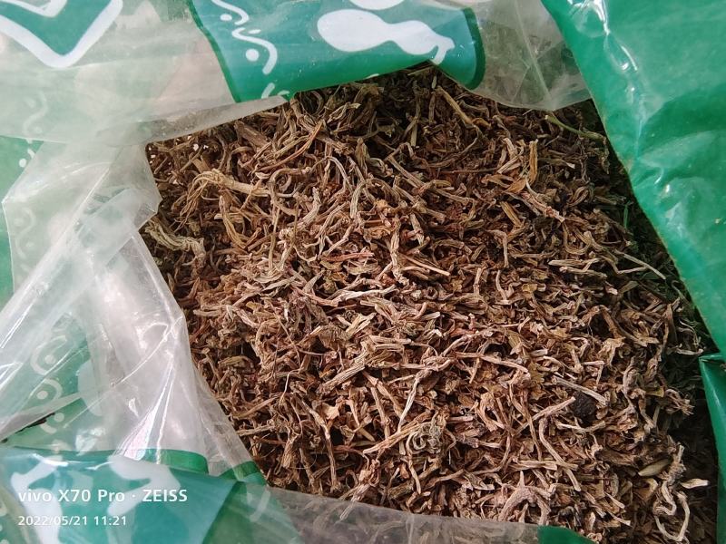 垂盆草干货常年经营各种冷背中药材量大优惠