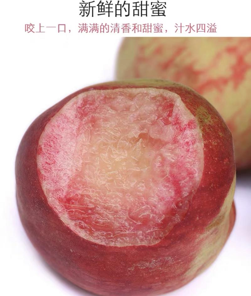 【眉山胭脂脆桃产地直销】水蜜桃脆红桃大量上市