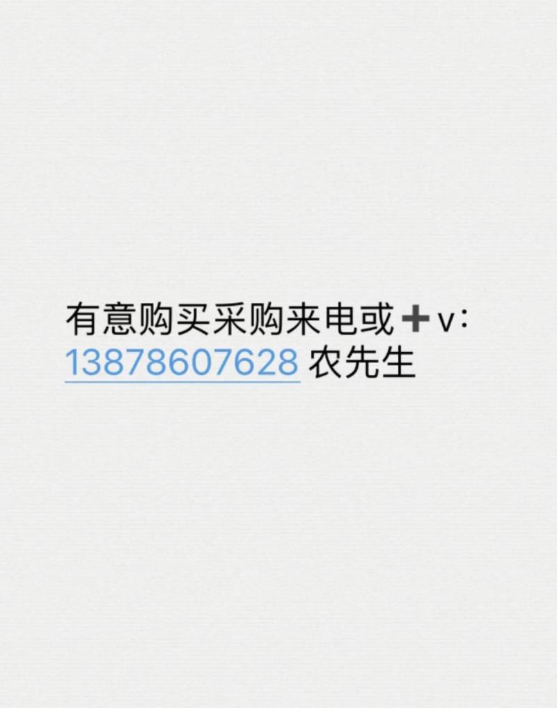酸梅苗