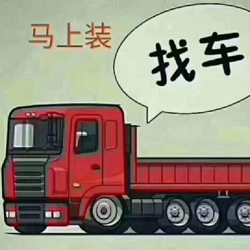 全国物流专业专注，绿通普货运输，整车零担，安全快捷。