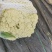 菜花河北唐山有机菜花，菜花河北唐山冷库设施齐全