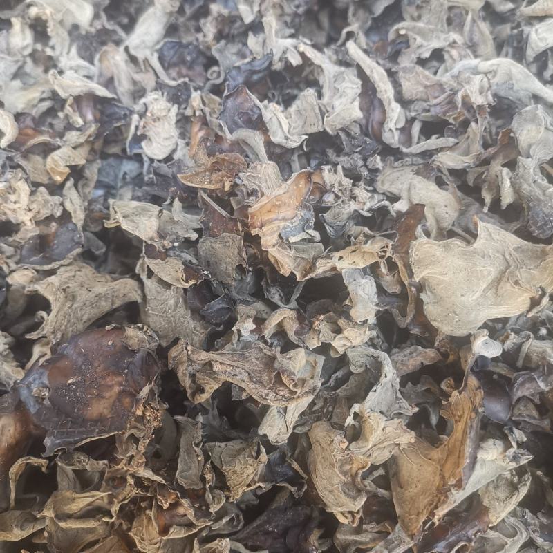 云南楚雄双柏哀牢山原始森林老家产地货源大量批发