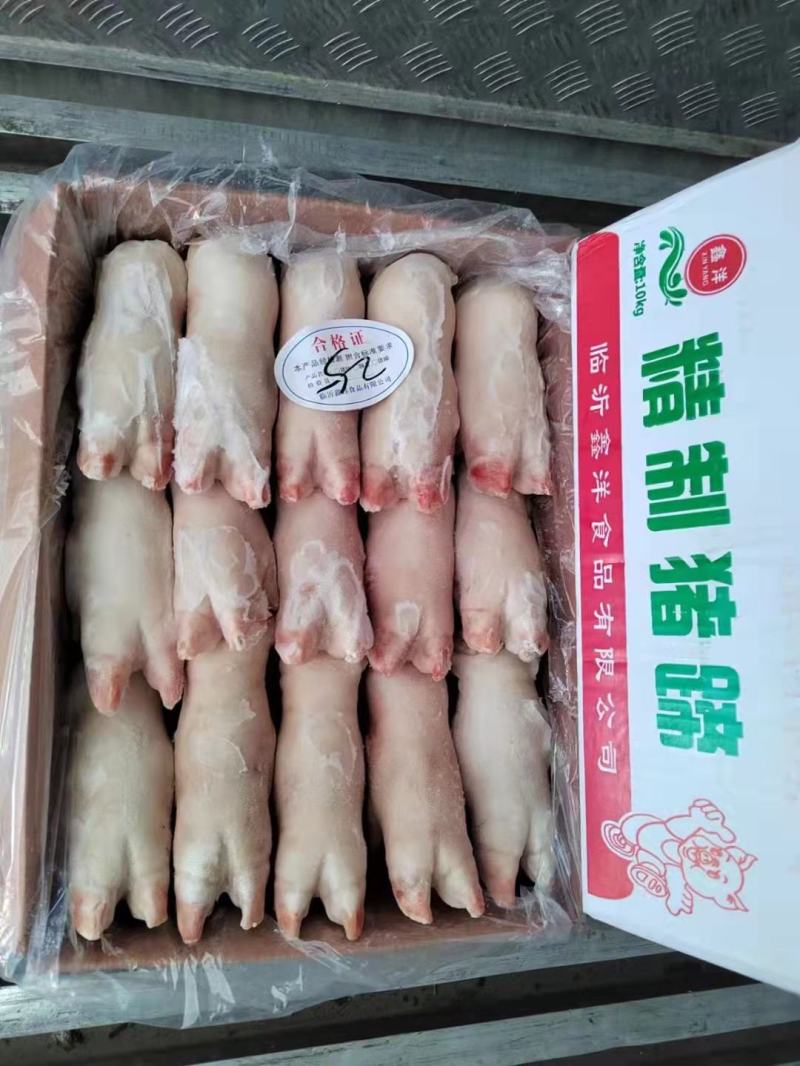 猪蹄前蹄20斤冷冻生猪蹄带筋猪蹄整只小猪蹄子猪爪前蹄