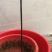 出售蚯蚓，可钓鱼，可作种，可药用，可做鱼饵，买家自提