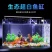 鱼缸水族箱懒人透明热弯金鱼缸客厅阳台家用造景中小型生态桌