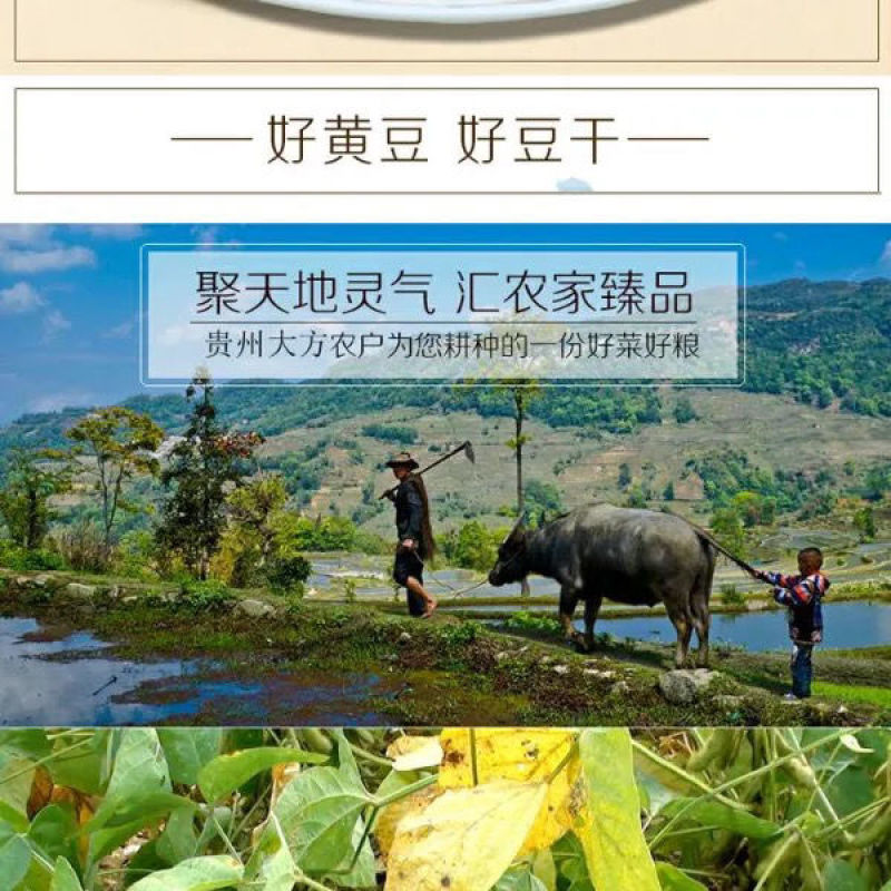 豆腐干贵州大方六龙手工手撕臭豆腐张家豆腐干是值得信赖