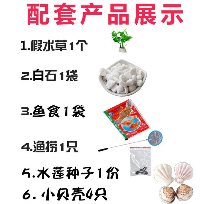 透明玻璃鱼缸小型金鱼缸家用造景圆形小鱼缸客厅办公桌迷你乌