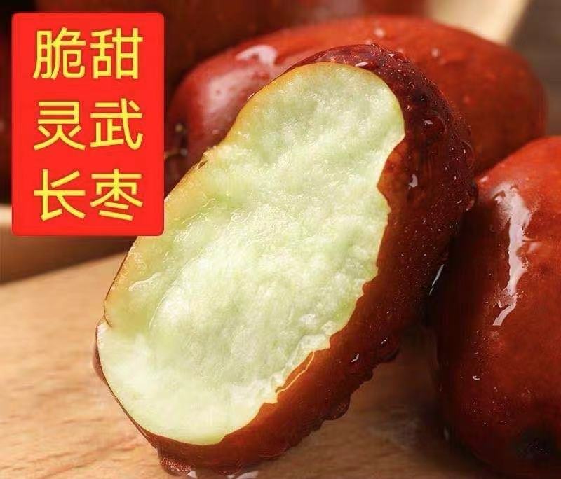 宁夏灵武长枣提前两天预订早上摘中午发，新鲜脆甜水分大