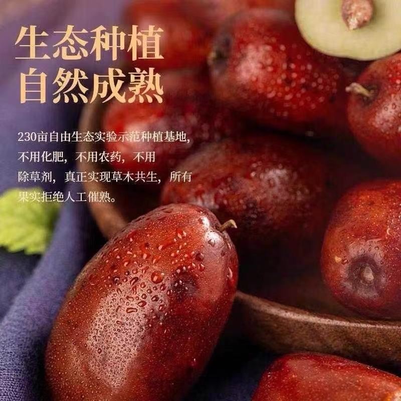 宁夏灵武长枣提前两天预订早上摘中午发，新鲜脆甜水分大