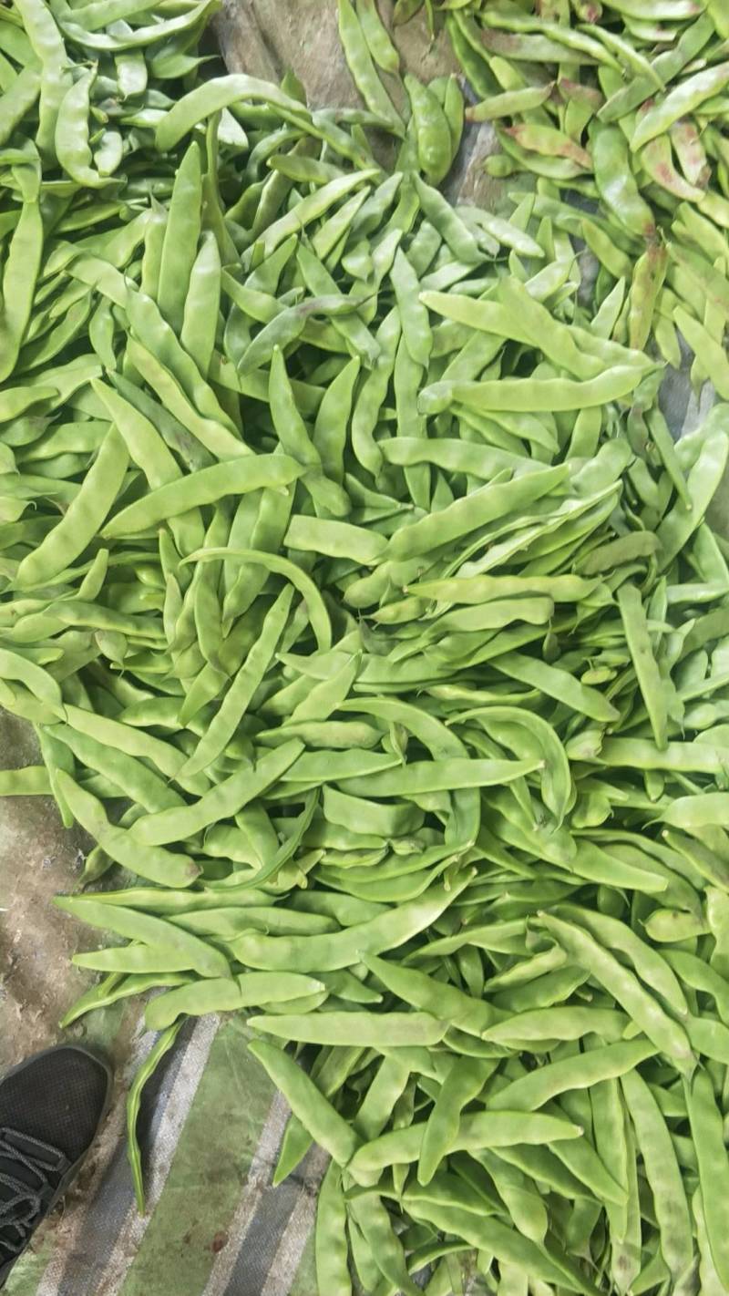 油豆支持全国发货
