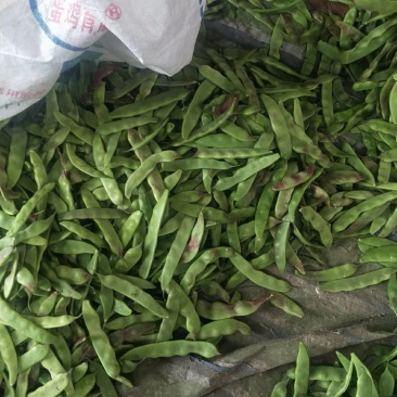 油豆支持全国发货