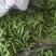油豆支持全国发货