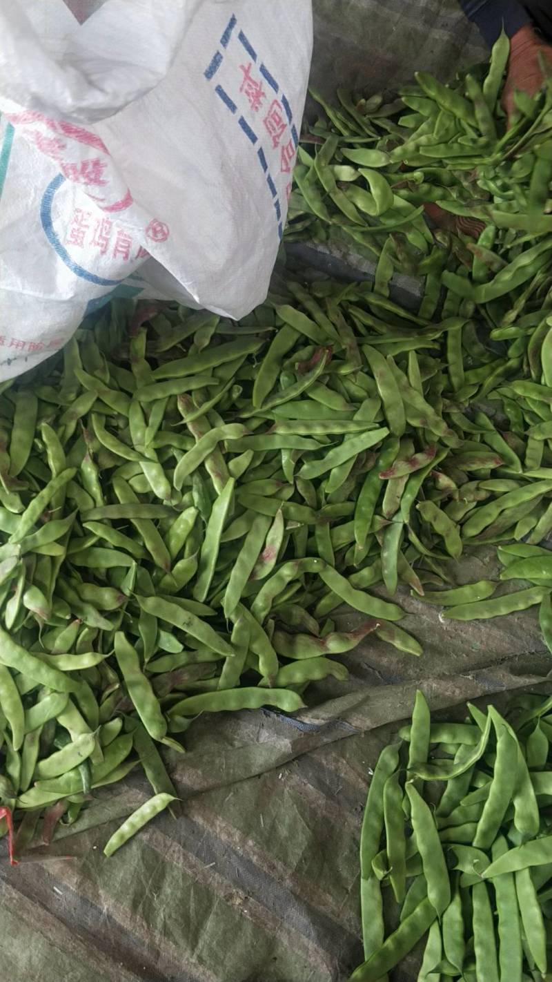 油豆支持全国发货