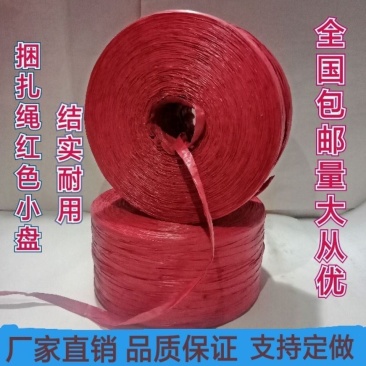 塑料捆扎绳捆扎蔬菜绳大棚吊菜绳打包绳扎口绳红批