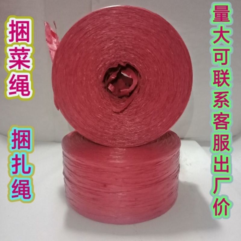 塑料捆扎绳捆扎蔬菜绳大棚吊菜绳打包绳扎口绳红批