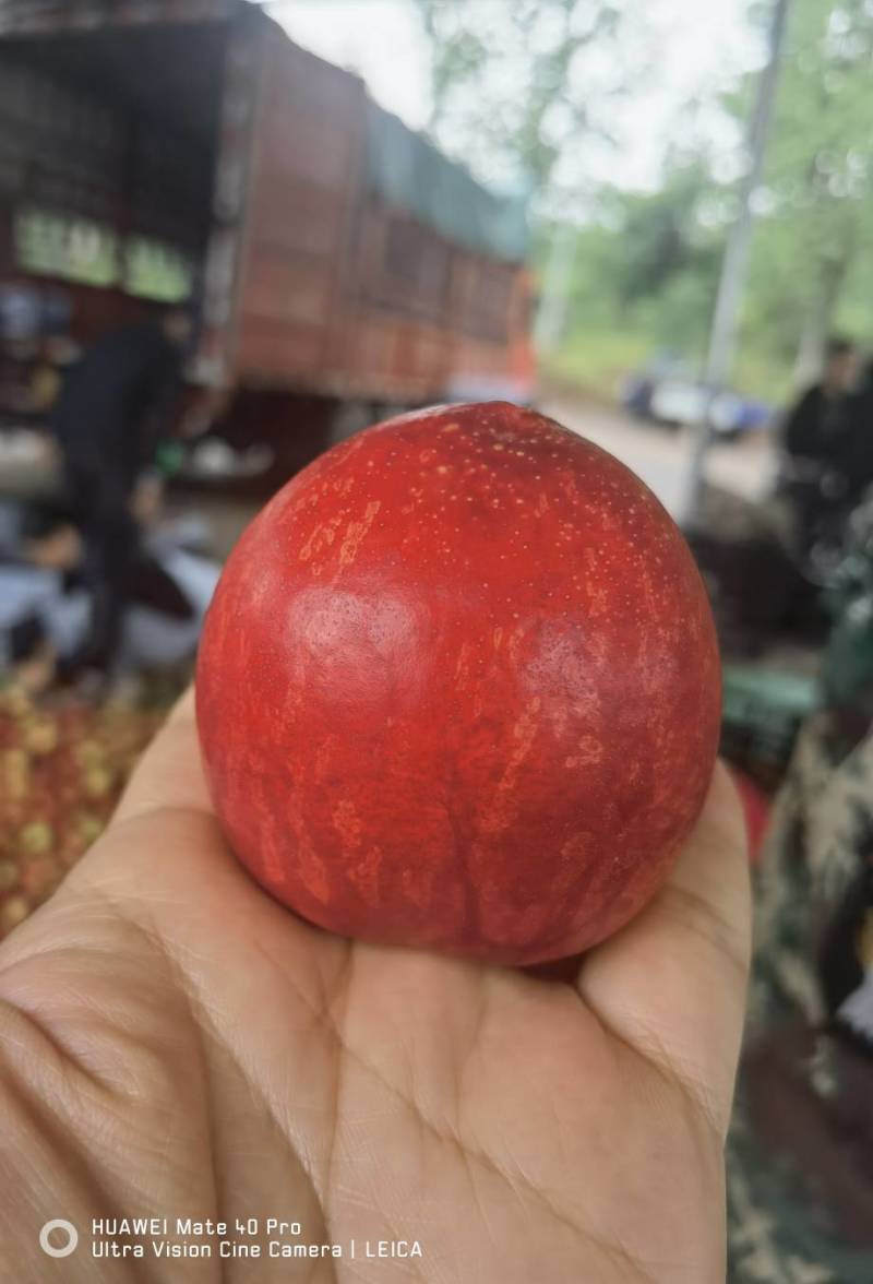 精品油桃，黄肉，个大味甜，产地直销，欢迎选购，一条龙服务